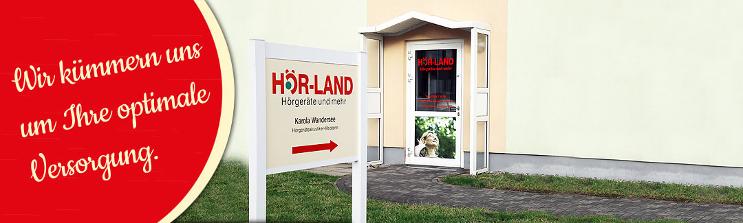 Hörsystemwartung